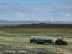 Naturbussen på Langli